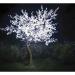 Light_Garden_Illuminated_Tree